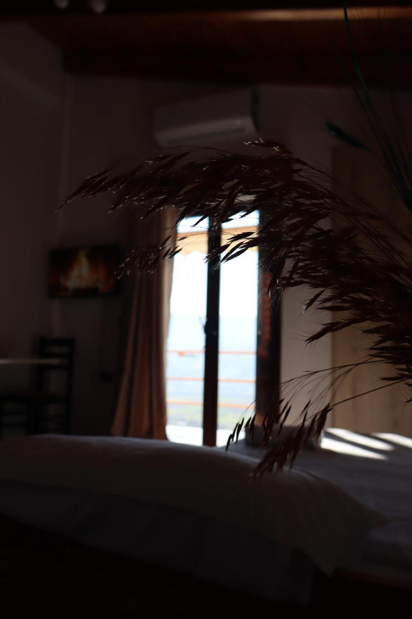 Bujtina Anlu Hotel Nepravishte Luaran gambar