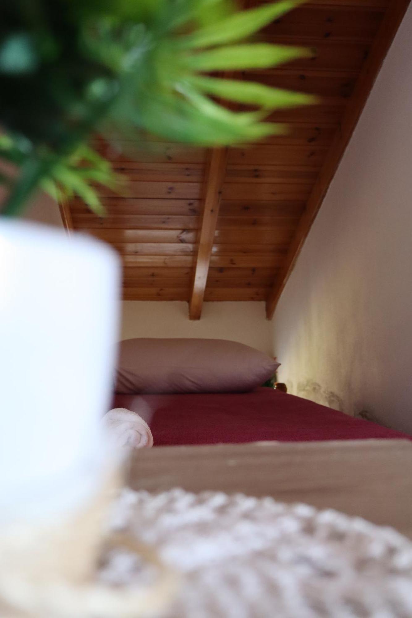 Bujtina Anlu Hotel Nepravishte Luaran gambar